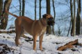 /album/keistad-amy/wandelen-195-jpg/